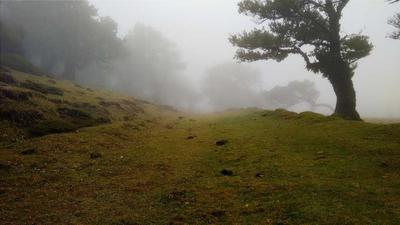 海角 — 驱动企业数字化转型的可靠伙伴